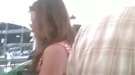 Gli animali rossi ha ...