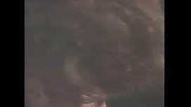 Il giovane giardinie ...