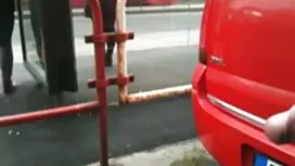 Un matura pelosa paz ...